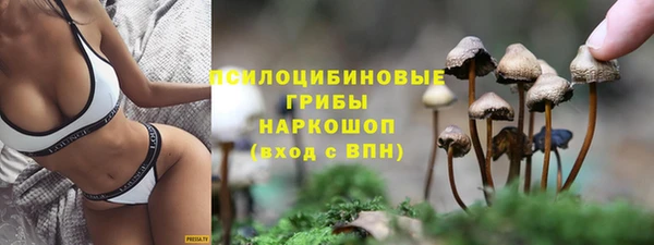 spice Алексин