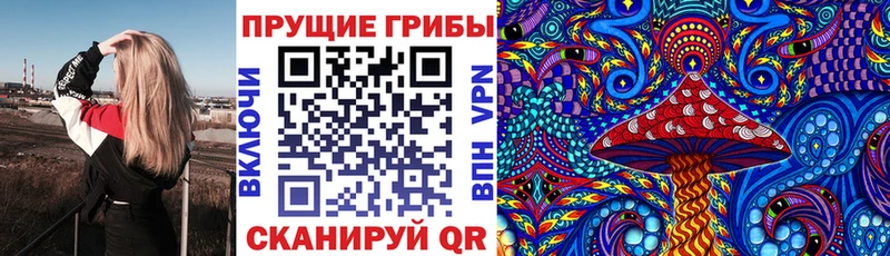 Псилоцибиновые грибы MAGIC MUSHROOMS  Полярные Зори 